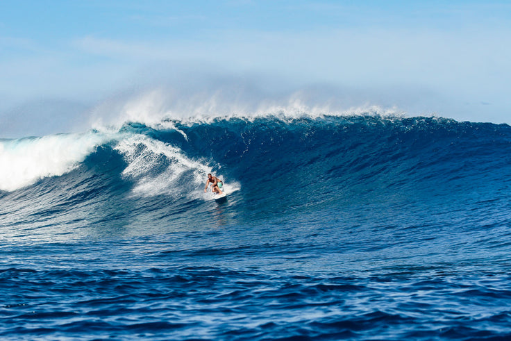 PHOTO: IN THE DISTANCE ON THE CARTER!