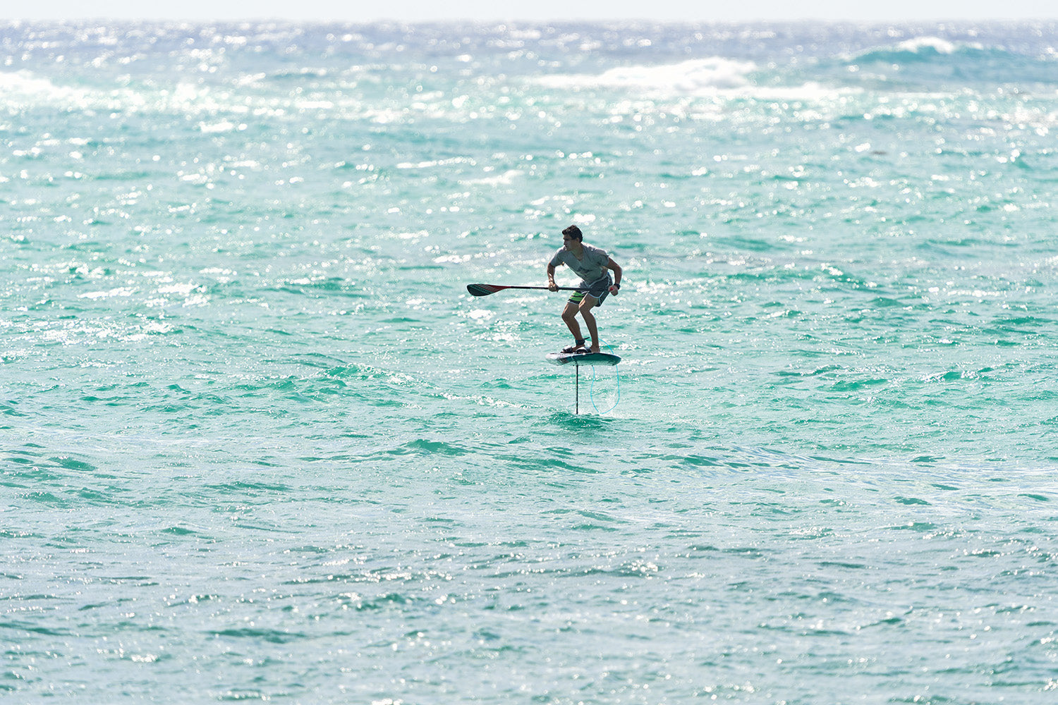 PHOTO : FREEDOM !!!