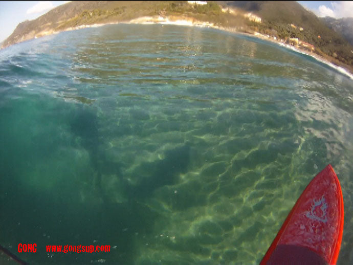 MOVIE : Seven Eleven avec l'Ours ;-)))