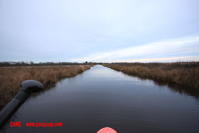 SESSION : happy new year very strange !!!