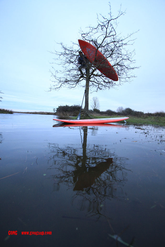 PHOTO : arbre de noël GONG Style ;-)))