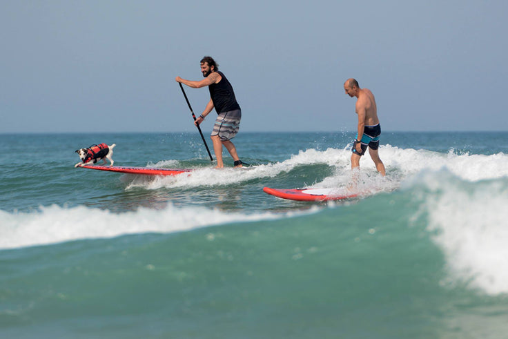 PHOTOS : share your wave !!!