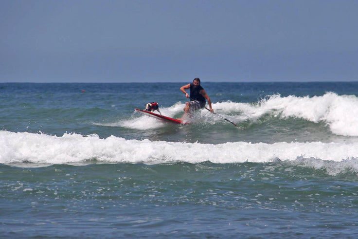 PHOTO : inseparable !!!