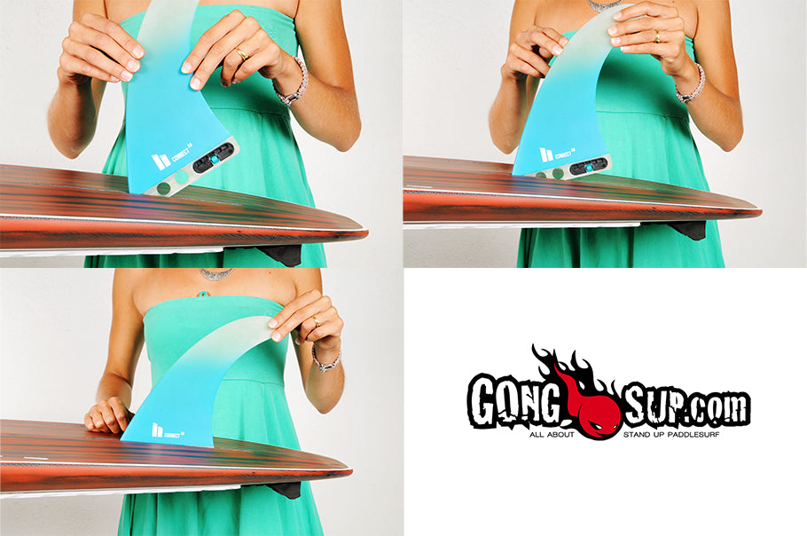 GEAR : FCS Connect PG !!!