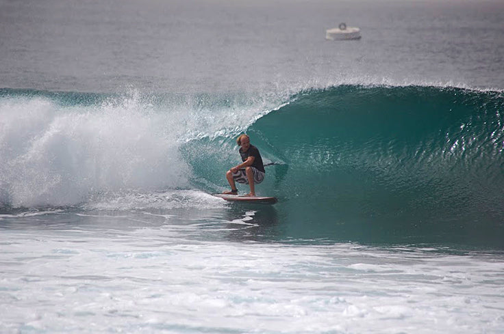 PHOTO : in the shade !!!
