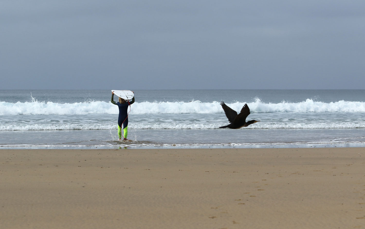 Sea, sun and surfing