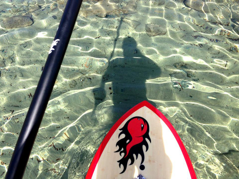 PHOTO : Ralf cruising !!!