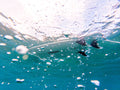 GONG | Surf Chemical EPS