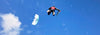 KITE