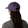 Patagonia | Fitz Roy Icon Trad Cap