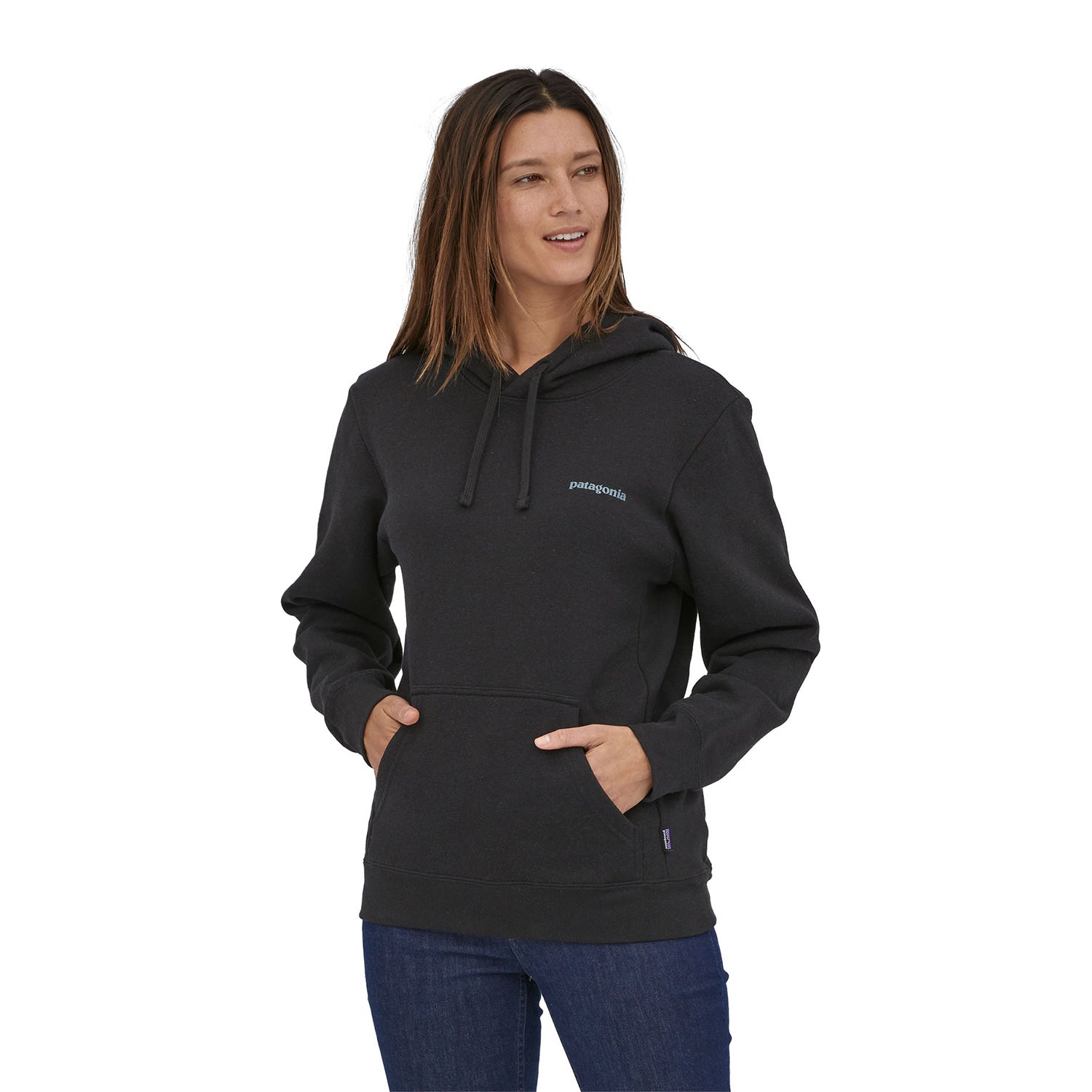 Patagonia | Sweat à capuche Fitz Icon Uprisal