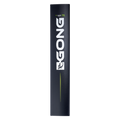 GONG | Foil Alu Mast V2