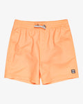 Billabong | All Day Short