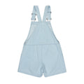 Roxy | Afternoon Spirit Dungarees