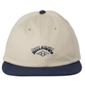 Billabong | Global Arch Cap