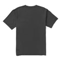 Vissla | Established Premium Organic Tee-shirt