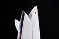 GONG | Factory 6'11 Pie Asymmetric Pu