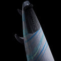 GONG | Factory SUP 7'2 Curve Sp Pro Light FSP Pro SUP Custom
