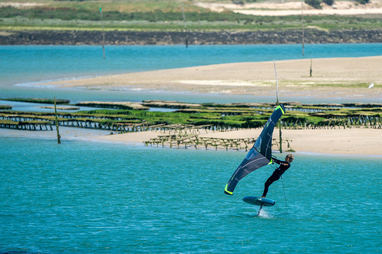 GONG | Foil Stab Sirus V2