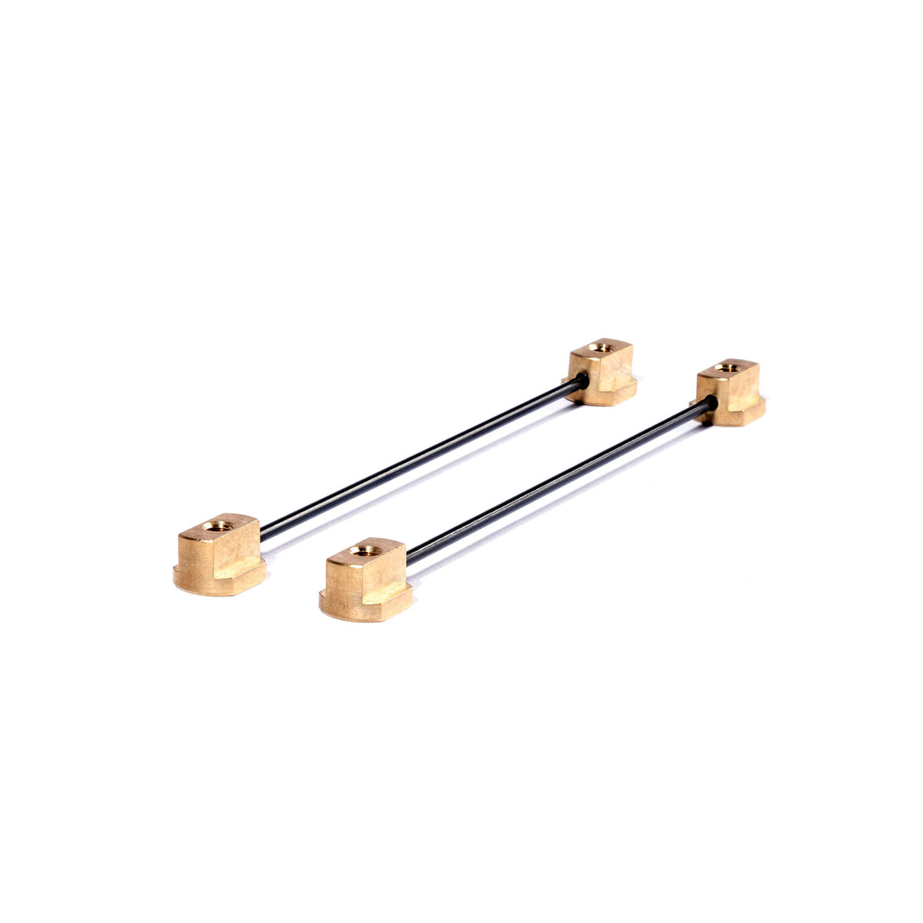 GONG | Foil SCS Nuts Hipe