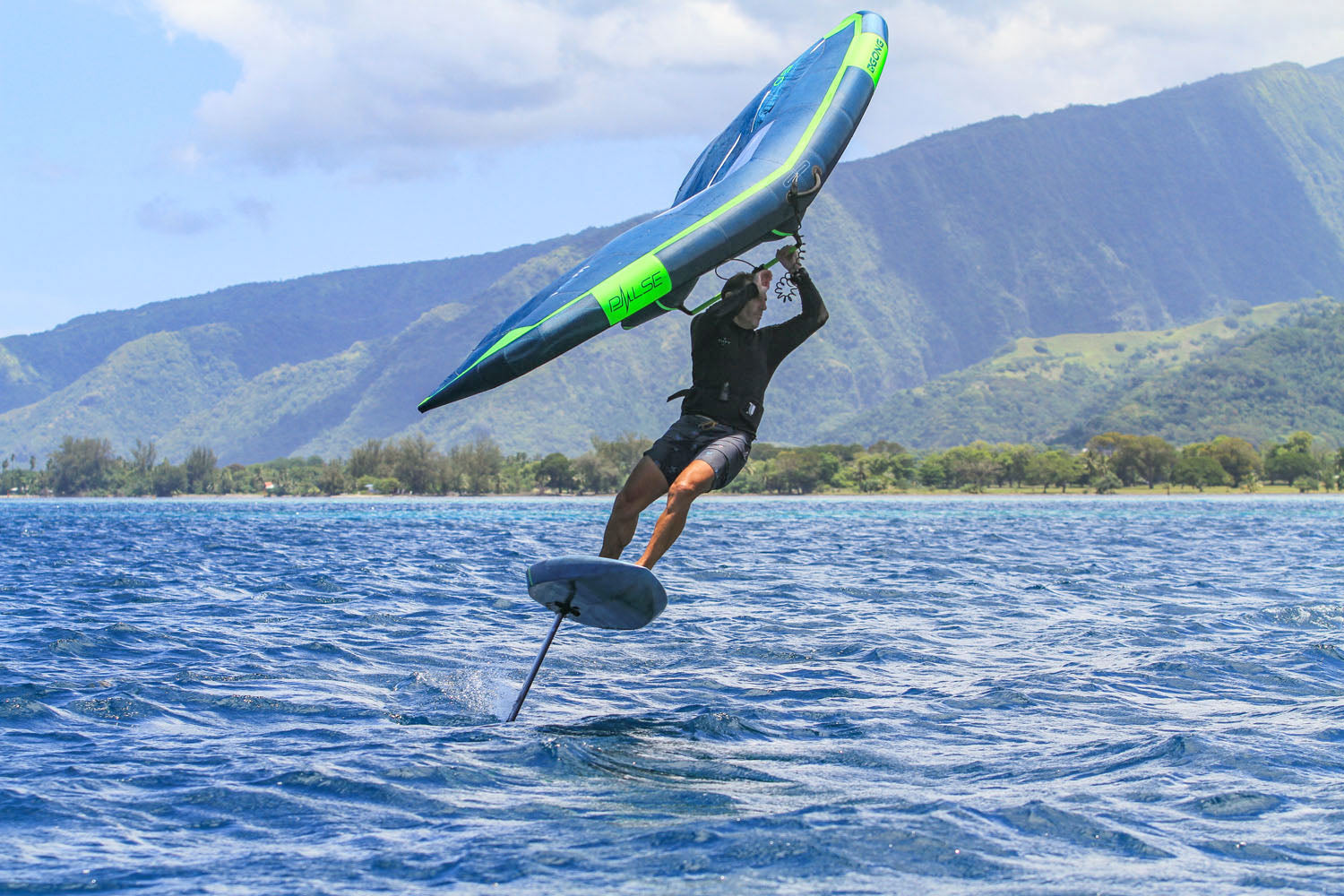 GONG | Short Hook For Wing Harness