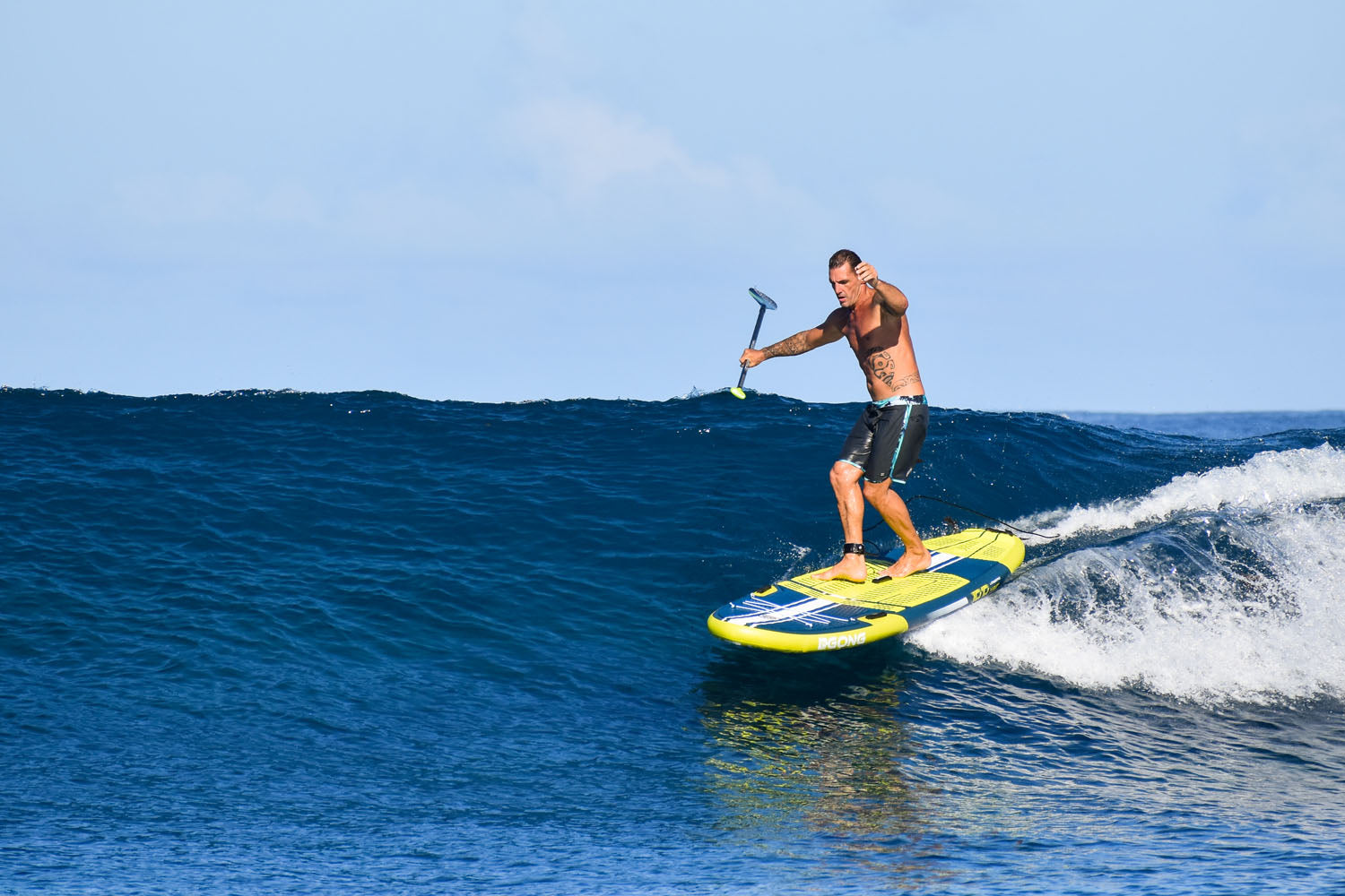 LA COUINE LONGBOARD