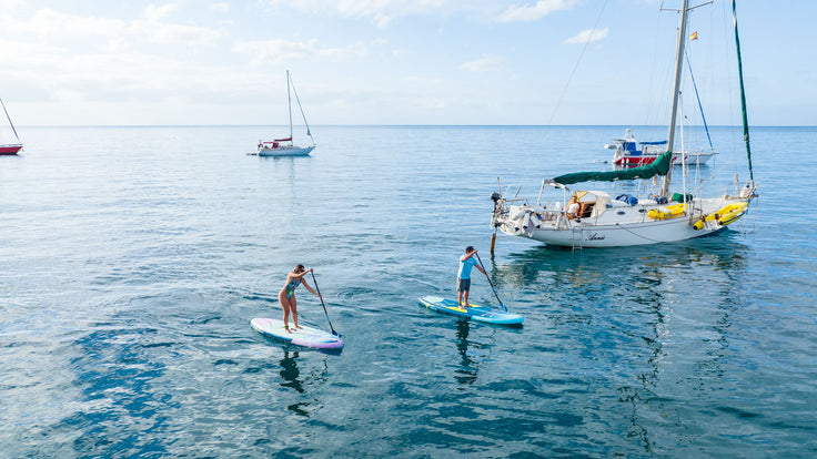 BETWEEN LAND AND SEA ON THE CHIP