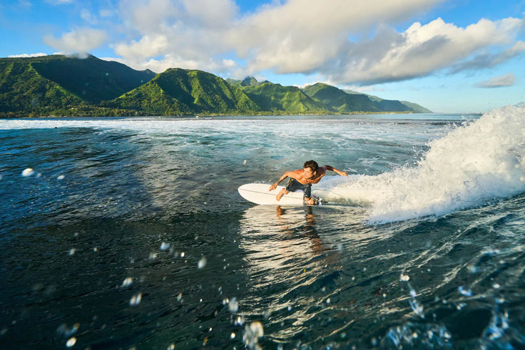 Lexicon surf