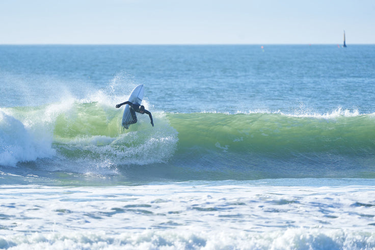 PHOTO : TOUT DONNER EN FORK