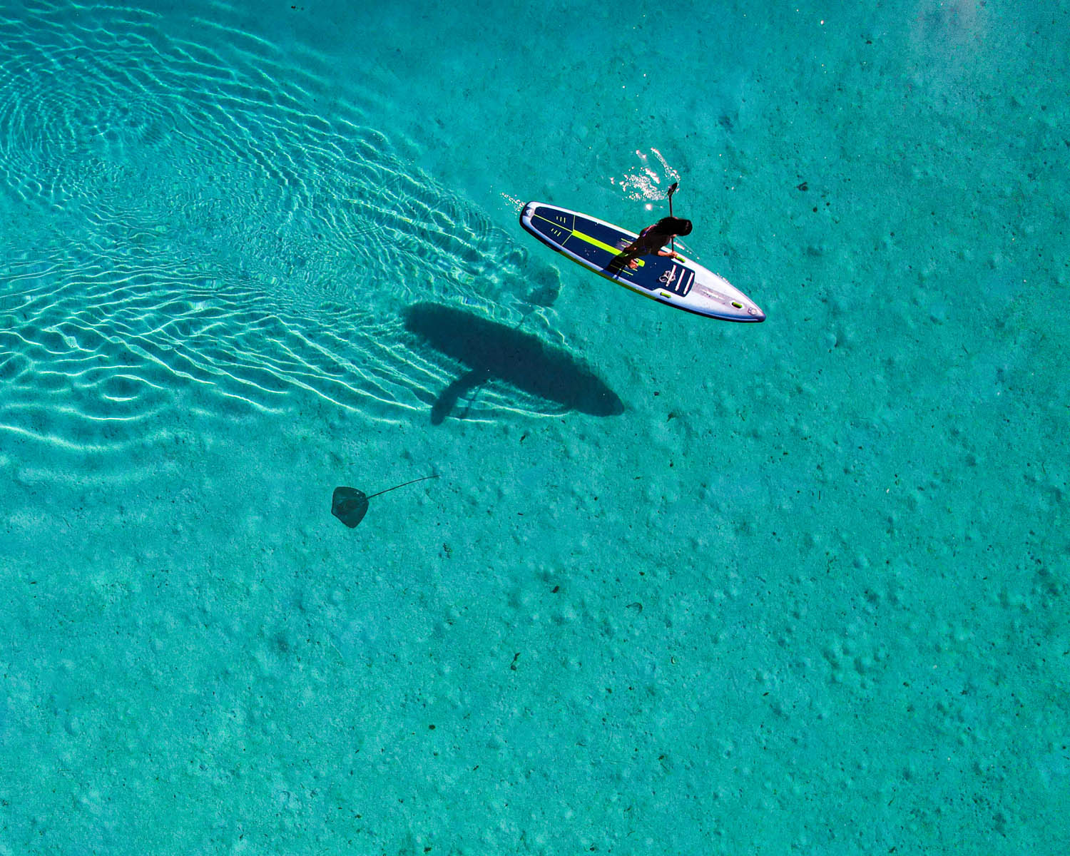 LE PÉRIMÈTRE D’EXPLORATION D’UN SUP DE RACE