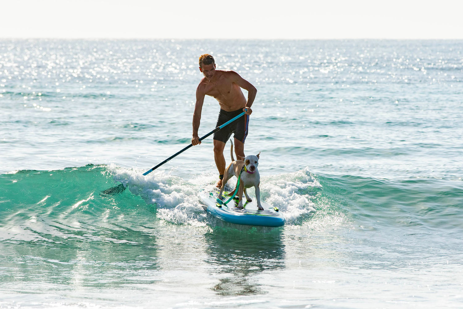 MIX SURFING, CRUISING, AND FRIENDS ON A LONGBOARD!