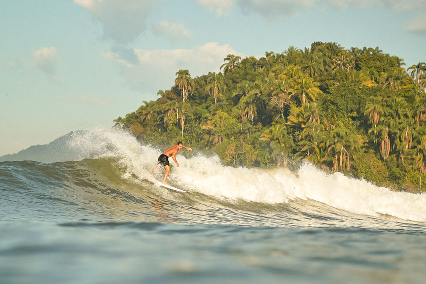 DES CONDITIONS POUR SURFER EN FISH !