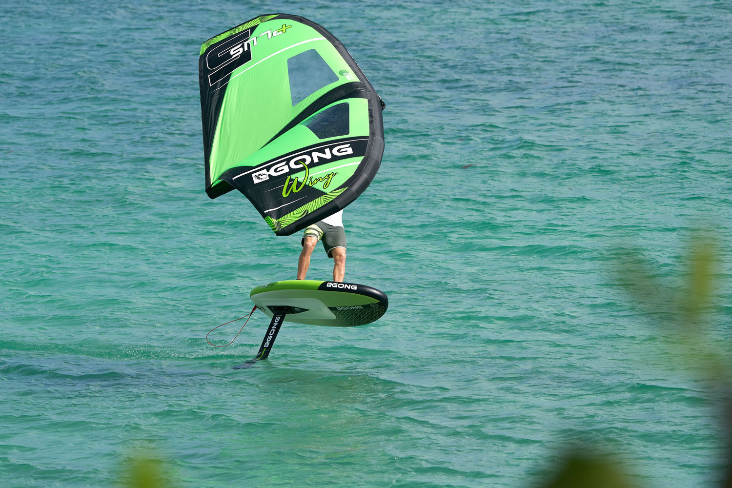 SHOP: NEW WING PACKS TO GET STARTED !