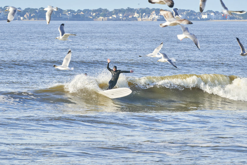 THE EFFICIENCY OF A LONGBOARD!
