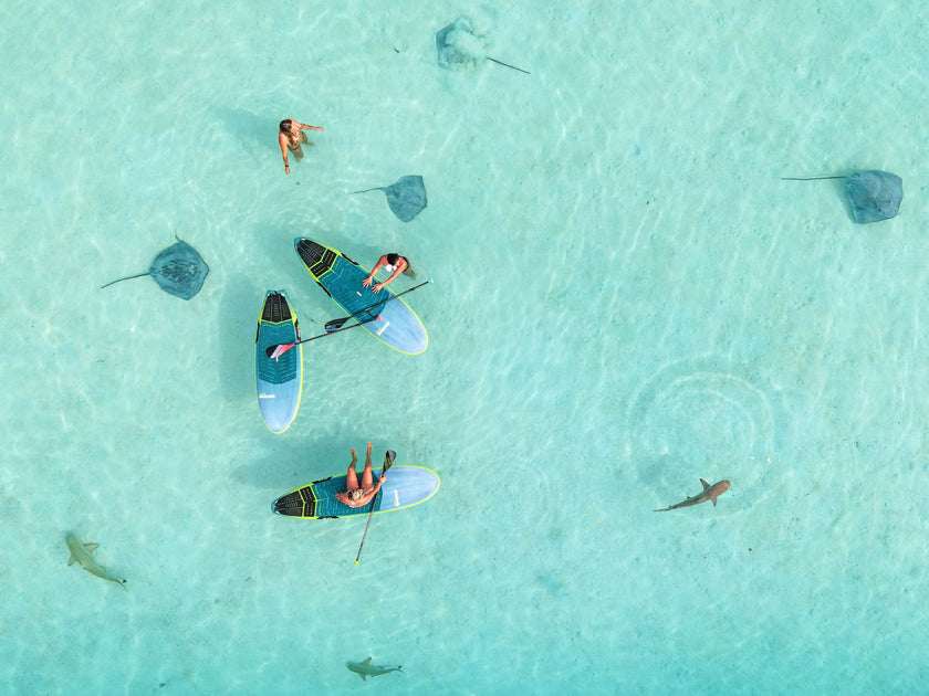PHOTO : RENCONTRE EN SUP !