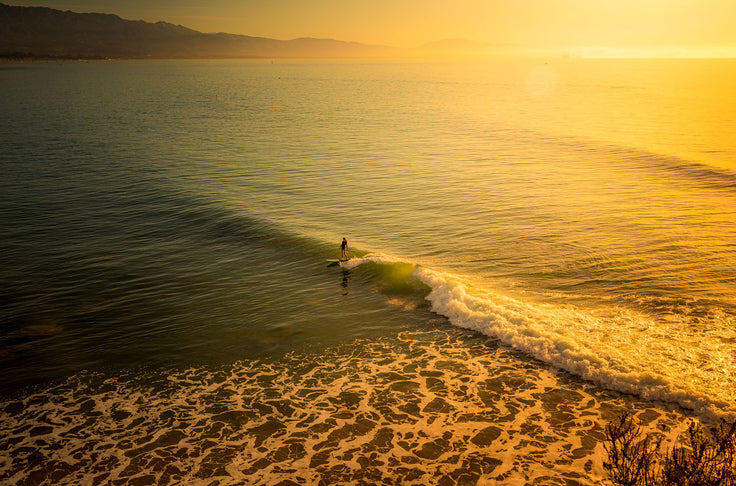 PHOTO : THE LIVIN’ IS EASY !