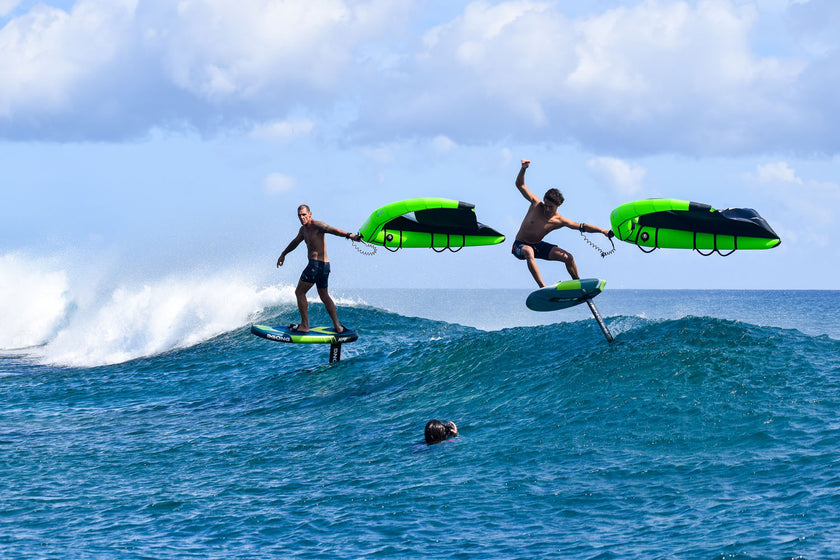 PHOTO : GAVADE ENTRE POTES !