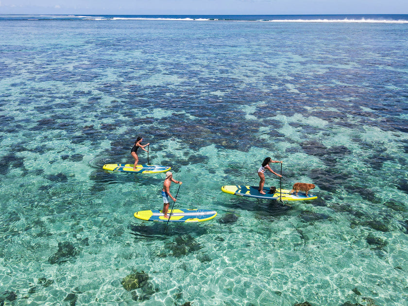 SHOP : LA RÉFÉRENCE DU SUP GONFLABLE À -20% !