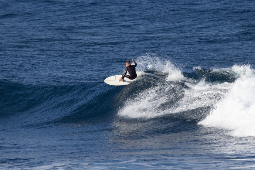 PHOTO : L’HYBRIDE QUI FONCTIONNE !