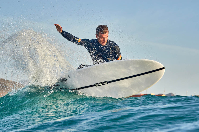 GEAR: THE MODERN EGG FOR TOYING WITH WAVES!