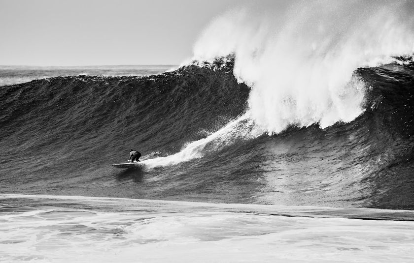 PHOTO : GONG’S WEEKLY SHOT