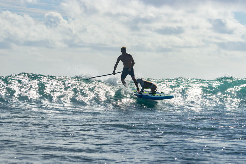 EN TANDEM SUR LA COUINE MARIE LONGBOARD