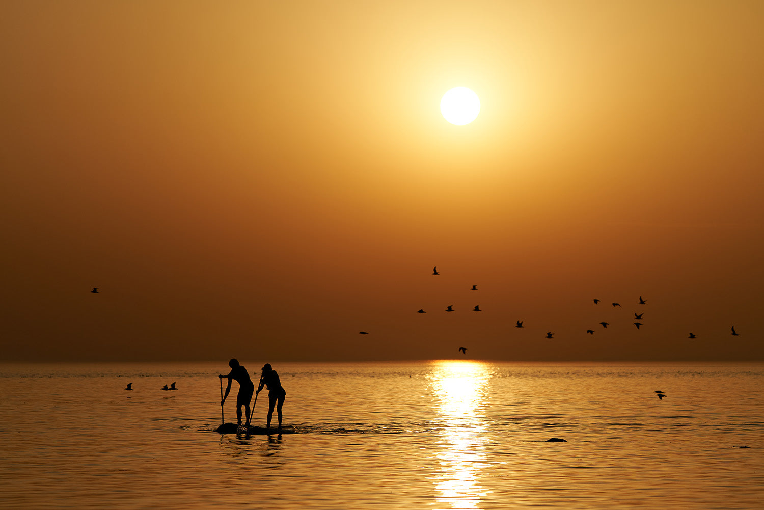 PHOTO : INDIAN SUMMER !!!