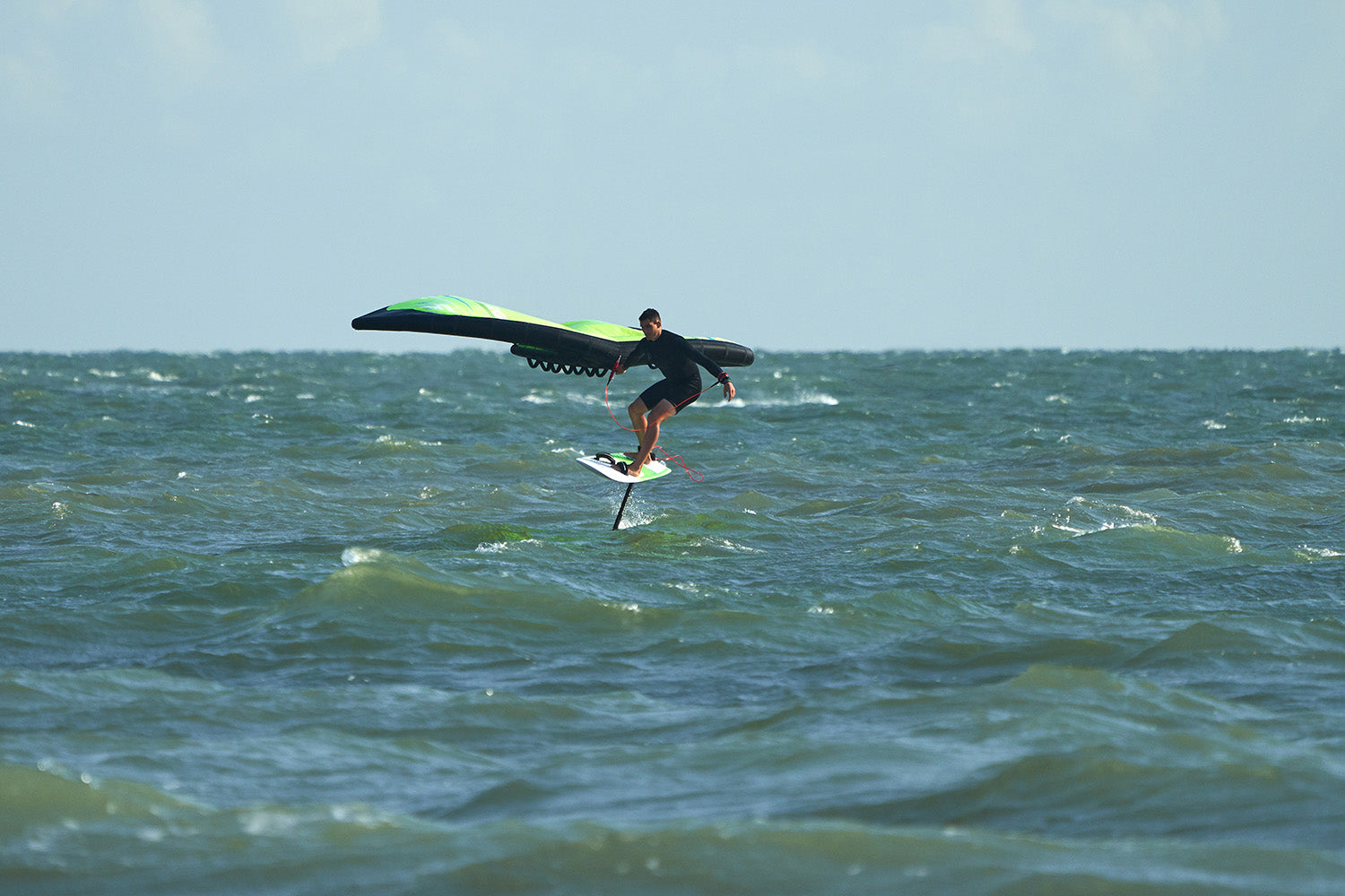 PHOTO : UNE WING BIEN PENSEE !!!