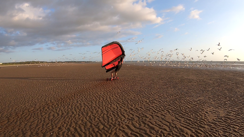 PHOTO : mountain board and GONG Wing !!!