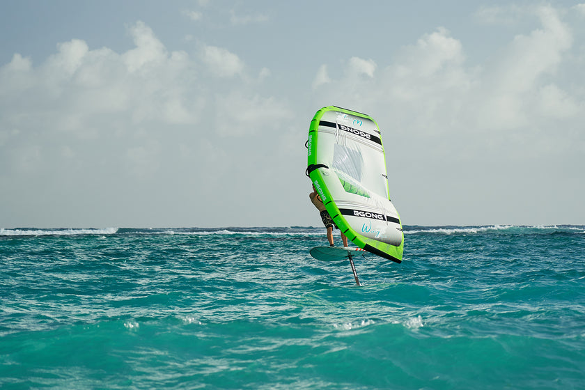 SHOP : PACKS WING PLUS MOB 2TASTE FSP 2X ONLINE !!!