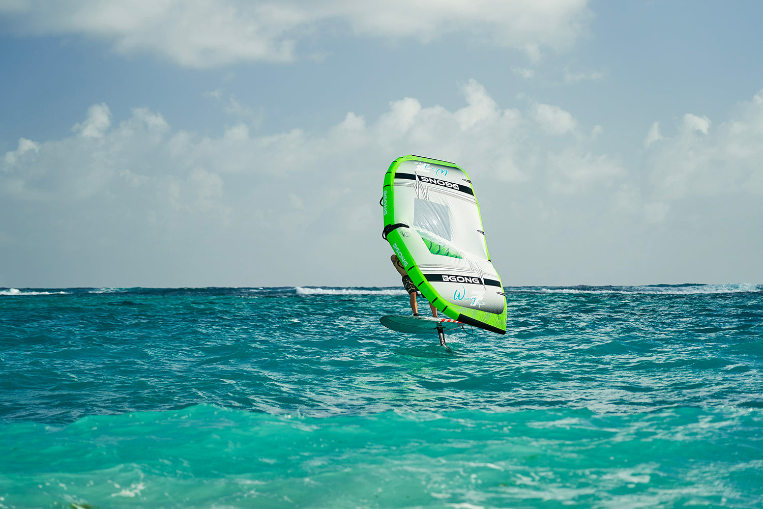 GEAR : GONG SUP MOB 2TASTE FSP 2X !!!