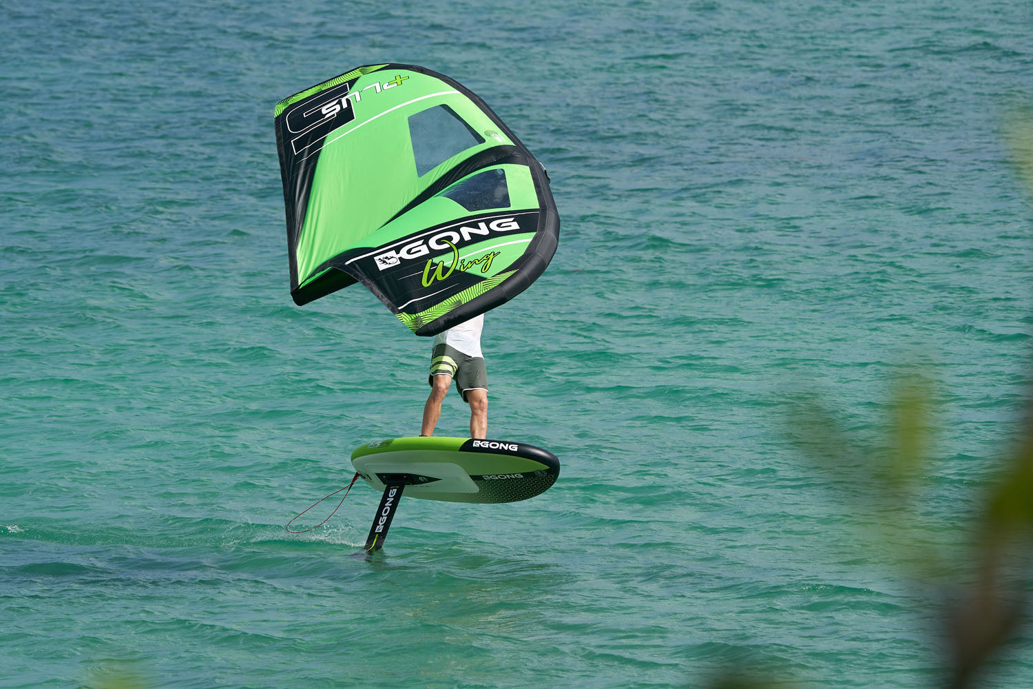 NEWS : LA WING PLUS EN STOCK