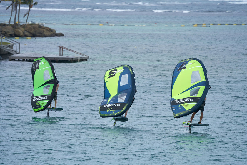 NEWS: THE REDUCED WINGSPANS OF OUR WINGS !!!