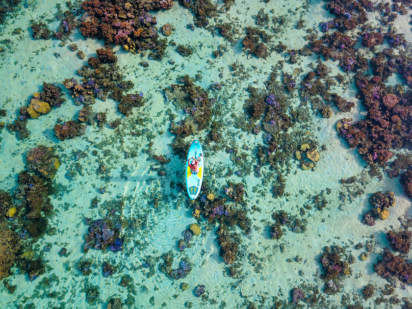PHOTO : LA FLORE SOUS-MARINE VUE D’EN HAUT !!!